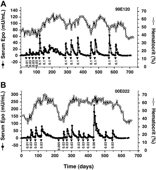 Figure 5. Long-term regulated expression of Epo using a single AAV vector. (A) AAV2 single vector. Primate 99E120 was transduced with AAV-TF-rhEpo-2.3 once on day 1, and subsequently administered AP22594 (▾) intravenously at the indicated doses (mg/kg). Serum Epo levels (• with solid line) and hematocrit levels (⋄ with solid line) are also given. (B) AAV1-pseudotyped vector. Primate 00E022 was transduced with an AAV1-pseudotyped AAV-TF-rhEpo-2.3 vector once on day 1, at a 10-fold-lower dose than that administered to 99E120 (Table 1).