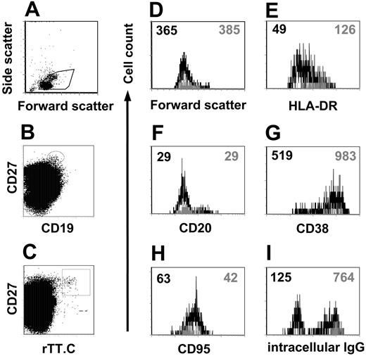 Figure 4. Phenotype of rTT.C-specific plasma blasts. Differential expression of various Ags on rTT.C-specific PBMCs from a representative donor 6 days after TT booster immunization. Formaldehyde-fixed PBMCs were gated (A) and stained with anti-CD27 Cy5 mAb, biotinylated anti-CD19 mAb/SA PerCP, rTT.C-Dig, and anti-Dig PE in the presence of saponin. rTT.C-specific CD19+/CD27high or CD19+/CD27high PBMCs with undefined specificity were identified by gating as indicated in panels B and C. Forward scatter, indicating the cell size, expression of HLA-DR, CD20, CD38, CD95, or intracellular IgG is shown for rTT.C-specific CD19+/CD27high (▦) or CD19+/CD27high PBMCs with undefined specificity (▪) (D-I). MFIs are indicated by the numbers in the top corners.