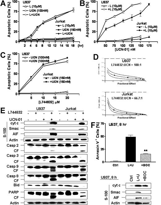 Figure 2. L744832 rapidly and highly synergistically potentiates UCN-01-mediated lethality in human leukemia cells, accompanied by mitochondrial dysfunction, caspase activation, and PARP cleavage. (A) U937 and Jurkat cells were exposed to 10 μM L744832 (L) with or without UCN-01 (UCN or U, U937, 100 nM; Jurkat, 150 nM). At the indicated intervals, cells were harvested and the percentage of cells exhibiting apoptotic morphology was determined by evaluating Wright-Giemsa-stained cytospin preparations. (B) U937 and Jurkat cells were incubated for 18 hours with the indicated concentration of UCN-01 in either the presence or absence of 10 μM L744832, after which the percentage of apoptotic cells was determined as described in panel A. (C) U937 and Jurkat cells were exposed to the indicated concentration of L744832 in either the presence or absence of UCN-01 (U937, 100 nM; Jurkat, 150 nM) for 18 hours, after which the percentage of apoptotic cells was determined as described in panel A. (D) U937 (upper panel) and Jurkat (lower panel) cells were exposed to a range of L744832 (5-25 μM) and UCN-01 (50-250 nM) concentrations alone and in combination at a fixed ratio (eg, U937, 100:1; Jurkat, 66.7:1) for 18 hours. At the end of this period, the percentage of cells exhibiting annexin V positivity was determined for each condition. Fractional effect values were determined by comparing results with those of untreated controls and median dose effect analysis employed to characterize the nature of the interaction between L744832 and UCN-01. Combination index (CI) values less than 1.0 denote a synergistic interaction. Two additional studies yielded equivalent results. (E) U937 and Jurkat cells were treated with 10 μM L744832 in either the presence or absence of UCN-01 (U937, 100 nM; Jurkat, 150 nM) for 18 hours, after which cells were lysed and subjected to Western blot to assess activation of caspase-associated cascades using the indicated primary antibodies.Alternatively, cytosolic fractions (S-100) were prepared, and expression of cytochrome c, Smac/DIABLO, and AIF was monitored by Western blot. (F) U937 cells were incubated with 10 μM L744832 (L) + 100 nM UCN-01 (U) for 8 hours in either the presence or absence of 20 μM BOC-D-fmk, after which the percentage of apoptotic cells was determined by annexin V-FITC/flow cytometry (upper panel). **Significantly lower than values for cells exposed to L744832 + UCN-01 in the absence of BOC-D-fmk (P < .01). Alternatively, S-100 fractions were prepared and subjected to Western blot analysis to monitor cytosolic expression of cytochrome c, Smac/DIABLO, and AIF (lower panel). For panels A-C and F (upper panel), results represent the means ± SD for 3 separate experiments performed in triplicate. For panels E and F (lower panels), each lane was loaded with 30 μg protein; blots were subsequently stripped and reprobed for expression of β-actin to ensure equivalent loading and transfer of protein. The results of a representative experiment are shown; an additional study yielded equivalent results. CF indicates cleavage fragment.