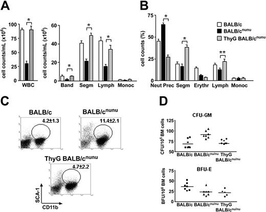 Figure 3. Thymus graft restores normal myelopoiesis in nude mice. BALB/cnu/nu mice were grafted with 2 to 3 fetal thymic lobes each under the renal capsule. After 6 to 8 weeks thymus-grafted (ThyG) mice were killed and analyzed. (A) WBC and differential cell counts in normal (□), nude (▪), and ThyG nude (▦) mice peripheral blood. Band neutrophil (Band), segmented neutrophil (Segm), lymphocyte (Lymph), and monocyte (Monoc) counts are shown. (B) Bone marrow morphologic analysis. Neutrophils precursor (Neut Prec), segmented neutrophils (Segm), erythroblast (Erythr), lymphocyte (Lymph), and monocyte (Monoc) counts are shown. Error bars mean SEM. (C) Bone marrow flow cytometry analysis in ThyG mice. Dot plots are representative of SCA-1xCD11b staining. Gates show SCA-1+CD11b+ cells population and respective mean ± SD are indicated. (D) Estimative of erythroid (BFU-E) and myeloid progenitors/precursors (CFU-GM) through clonogenic assays in BALB/c (▪), BALB/cnu/nu (▴), and ThyG (♦) mice. Data are representative of 3 independent experiments. *P < .001; **P < .01. Horizontal bars indicate the mean.