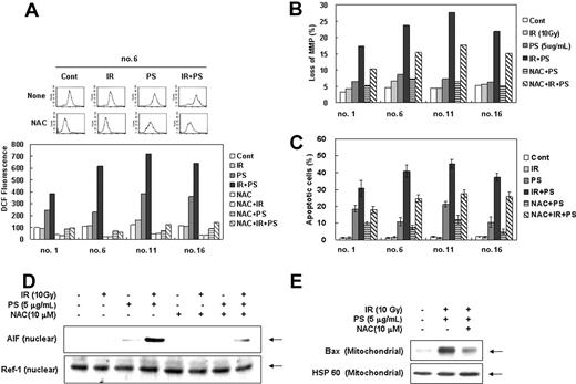 Figure 4. Enhancement of ROS production by combination treatment of ionizing radiation with phytosphingosine. Radiation-resistant Jurkat clones were treated with 10 Gy of γ-radiation alone, 5 μg/mL of phytosphingosine alone, or combination of γ-radiation (10 Gy) and phytosphingosine (5 μg/mL) in the presence or absence of 10 mM NAC. (A) After 3 hours, cells were incubated with 10 μM of H2DCF-DA for 30 minutes and analyzed by flow cytometry as described in “Materials and methods.” (B) Mitochondrial transmembrane potential was determined by retention of DioC3(6) added during the last 30 minutes of treatment. After removal of the medium, the amount of retained DioC3(6) were measured by flow cytometry. (C) Cells were stained with Hoechst 33258, and apoptotic cells were quantitated by fluorescence microscopy. Results from 3 independent experiments are shown as means ± SEM. (D) Clone no. 6 was treated with 10 Gy of γ-radiation and/or 5 μg/mLof phytosphingosine in the presence or absence of 10 mM NAC. After 3 hours, nuclear fraction was prepared and subjected to Western blot analysis using anti-AIF or -Ref-1 antibody. Ref-1 was used as a nuclear marker protein. (E) Clone no. 6 was treated with 10 Gy of γ-radiation and/or 5 μg/mL of phytosphingosine in presence or absence of 10 mM NAC. After 3 hours, mitochondrial fraction was prepared and was subjected to Western blot analysis with anti-Bax and -HSP 60 antibodies. HSP 60 was used as a mitochondrial marker protein.