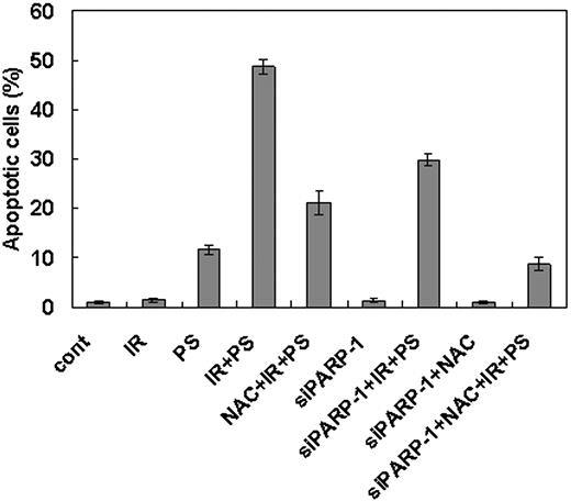 Figure 7. Enhancement of cell death after combination treatment of ionizing radiation with phytosphingosine is mediated both by ROS generation and PARP-1 activation pathways. Clone no. 6 was treated with 10 Gy of radiation alone, 5 μg/mL of phytosphingosine alone, or combination of γ-radiation (10 Gy) and phytosphingosine (5 μg/mL) in the presence or absence of 10 mM NAC or siRNA for PARP-1. After 3 hours, cells were stained with Hoechst 33258, and apoptotic cells were quantitated by fluorescence microscopy. Results from 3 independent experiments are shown as means ± SEM.