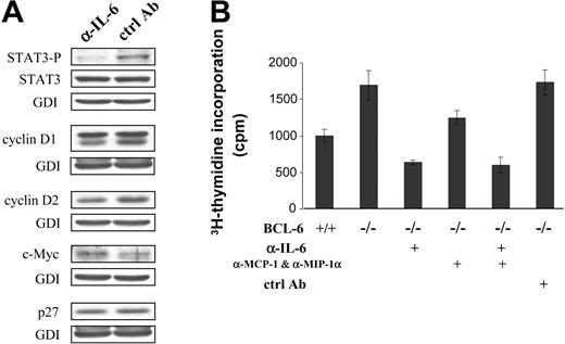 Figure 5. Role of spontaneous IL-6 production in activating STAT3 and promoting cell proliferation. (A) Western blot analysis of STAT3 and selected cell cycle regulators in BCL-6-/- macrophages that had been treated with either IL-6-neutralizing antibody (α-IL-6) or control IgG (ctrl Ab). (B) Cell proliferation measured by 3H-thymidine incorporation assays after antibody-mediated neutralization of IL-6 or chemokines MCP-1 and MIP-1α. Error bars indicate SD. Results are representative of 2 independent experiments.