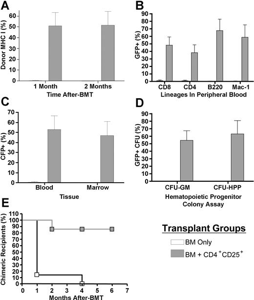Figure 3. Hematopoietic chimerism following cotransplantation of donor CD4+CD25+ T cells. B6-GFP TCD BM (5 × 105) was transplanted alone or together with 1 × 106 CD4+CD25+ T cells into 7.0-Gy irradiated BALB/c recipients (n = 7/group). One and 2 months after BMT, peripheral blood was harvested and individual samples were analyzed by flow cytometry to determine chimerism by expression of GFP and MHC class I (A). Lymphoid and myeloid lineages were assessed in peripheral blood 2 months after BMT (B). Donor marrow-derived GFP expression was also compared between peripheral blood and bone marrow (C). CFU-GM and CFU-HPP assays were performed on cells harvested from recipient marrow (D). Rejection of the donor inoculum was assessed by the presence of donor chimerism in BM transplant recipients up to 6 months after BMT (E). □ indicates BM only; ▦, BM + CD4+CD25+. Data presented are the mean and SEM from blood or marrow (A-C) or marrow CFU chimerism (D) from results of an individual experiment. Peripheral chimerism was confirmed in this transplantation model in 2 independent experiments.