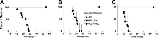 Figure 6. Recipients that received transplants of marrow and CD4+CD25+ T cells acutely reject third-party skin grafts but accept skin grafts from marrow donor and recipient background mice. Three to 4 months after BMT, chimeric BALB/c recipients of B6 BM and CD4+CD25+ T cells (n = 13, A), BALB/c mice that did not receive transplants (n = 8, B), and B6 mice that did not receive transplants (n = 5, C) received tail skin grafts from donor (B6, ♦), host (BALB/c, ▪), or third-party (C3H/HeJ, •) background mice. Data are pooled from 3 individual experiments.