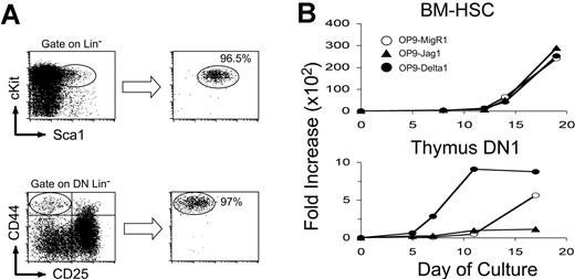Figure 4. Proliferation of BM-HSCs and DN1 thymocytes (thymus DN1) in OP9 stromal cell cocultures. (A) Isolation of stem cells from bone marrow and thymus by cell sorting. Bone marrow cells were pre-depleted for B220+, CD11b+, and Gr1+ cells, and thymocytes were pre-depleted for CD4+ and CD8+ cells by DYNAL magnetic bead separation. Stem cells were enriched to more than 96% purity by sorting for Lin– cKit+/Sca1+ (BM-HSCs) or Lin– CD44+/CD25– (thymus DN1). (B) Proliferation of BM-HSCs or thymus DN1 after coculture on OP9-MigR1, OP9-Jagged1, or OP9-Delta1. Total cell recovery is plotted as fold increase over the initial number of stem cells seeded on day 0.