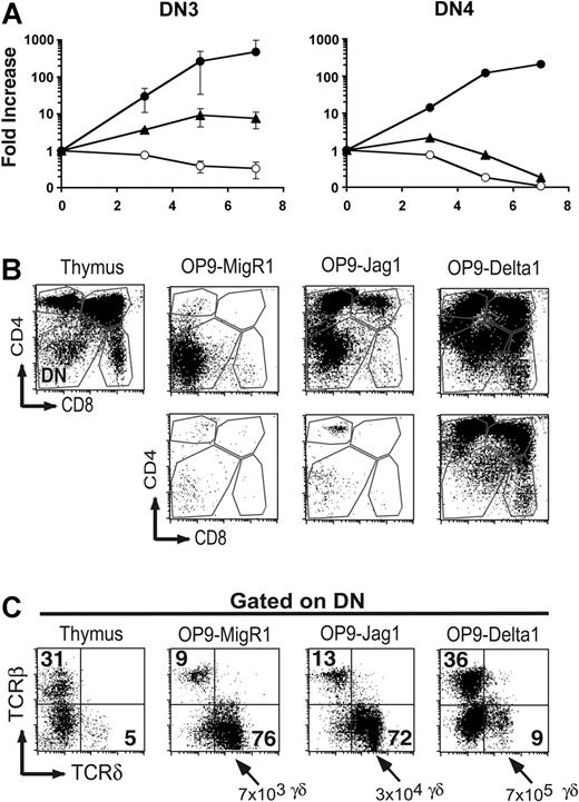Figure 7. Effect of Notch ligands on the proliferation and maturation of DN3 and DN4 thymocytes. Thymocytes were depleted for CD4+ and CD8+ cells by magnetic bead separation, and DN3 and DN4 subsets were isolated by sorting for Lin– CD44–CD25+ (DN3) or CD44–CD25– (DN4) cells to more than 99% purity. Cells were cultured for 7 days on OP9-MigR1, OP9-Jagged1, or OP9-Delta1. (A) Cell recovery over time in culture. ○ indicates OP9-MigR1; ▴, OP9-Jag1; and •, OP9-Delta1. (B) Maturation of DN3 (top row) or DN4 (bottom row) thymocytes monitored by expression of CD4 and CD8 surface molecules. Expression of CD4 and CD8 molecules on normal thymocytes is shown as a staining control. (C) Expression of TCRβ and TCRδ in the recovered DN3 population shown in panel B. The total number of γδ T cells recovered per well was averaged from 3 independent experiments.