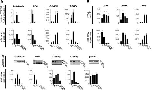 Figure 6. Validation of microarray data by real-time RT-PCR, Western blotting, and flow cytometry analysis. (A) Total RNA was purified from BM and PB populations and subjected to real-time RT-PCR and microarray analysis to compare gene expression profiles for selected marker genes of granulocytic differentiation (mean ± SD, n = 3). (B) Comparison of protein and mRNA profiles in BM and PB populations assessed by Western blotting, flow cytometry, and microarray analysis (mean ± SD, n = 3).