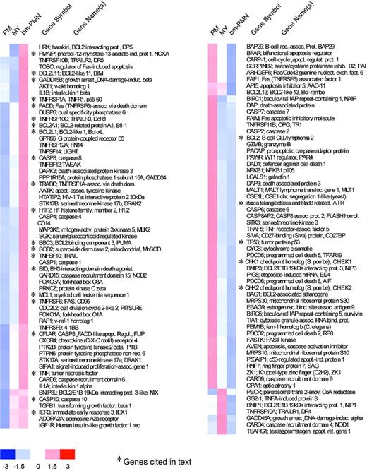 Figure 7. Apoptosis-related genes. Hierarchical clustering of differentially expressed apoptosis-related genes in pm, MY, and bm-PMN populations. The mean relative expression levels for genes in BM populations are presented by a color scale, whereby red reflects high expression (3 × SD), white reflects mean expression level, and blue reflects low expression (-3 × SD).