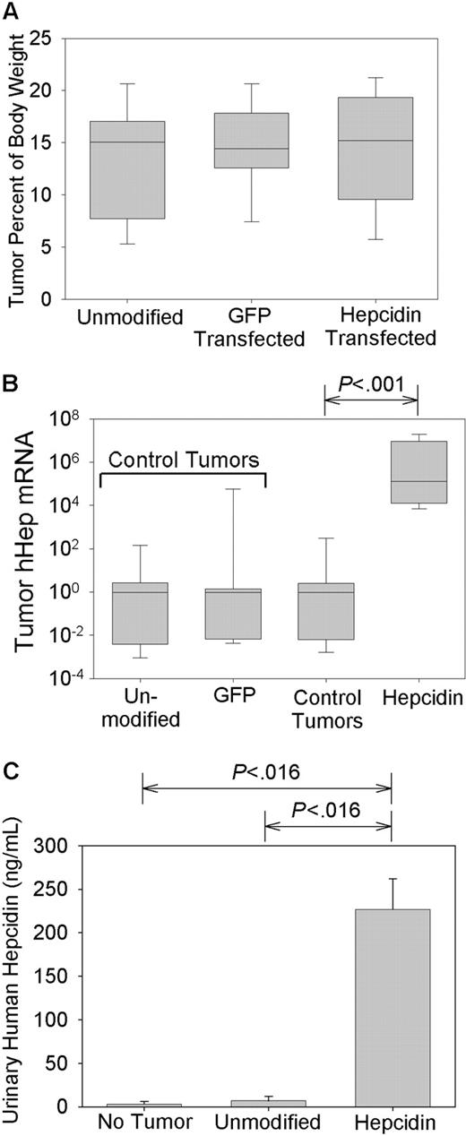 Figure 2. Hepcidin production by xenografts. Mice were implanted with human hepatoma xenografts that were either unmodified or transfected with a GFP-expressing vector (GFP transfected) or a vector expressing both GFP and hepcidin (hepcidin transfected). Control tumors include both unmodified and GFP-transfected tumors. (A) Tumor masses, expressed as the percentage of total body weight. (B) Tumor hepcidin mRNA expression by real-time PCR normalized to G3PDH mRNA and shown as a ratio to the median of mice with control tumors. Box and whisker plots represent median, 25% to 75% range, and 10% to 90% range. (C) Urinary hepcidin excretion in mice bearing different types of tumors. Bar graph shows mean and one standard deviation. Significant differences (P < .05) are indicated at the top of each panel.