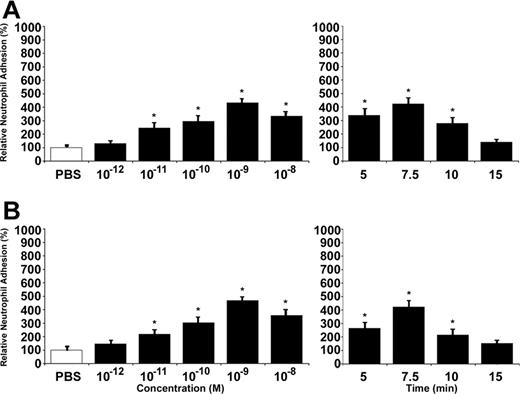 Figure 2. Ang1 and Ang2 induce neutrophil adhesion to HUVECs. Neutrophil adhesion to HUVECs was determined by cell surface adhesion assay under static conditions. PBS was used as a control. Due to slight variations in basal neutrophil adhesion between different experiments, we reported our data as relative neutrophil adhesion (%). Neutrophil recruitment induced by Ang1 (A) and Ang2 (B), both at 7.5 minutes, was determined at different concentrations (10–12 to 10–8 M; left panels) and in function of time at 10–9 M (5 to 15 minutes; right panels). Data are means ± SEM of at least 12 experiments; *P = .01 compared with PBS.