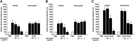 Figure 5. Neutrophil adhesion induced by angiopoietins: implication of Tie2 receptors on HUVECs and neutrophils. HUVECs (left) or neutrophils (right) were pretreated for 15 minutes with blocking anti-hTie2 IgG (0.05 to 1 μg/mL) prior to stimulation with Ang1 (A), Ang2 (B), or the Ang1/Ang2 combination (10–9 M; 7.5 minutes; C). Data are means ± SEM of at least 8 experiments; *P = .01 compared with PBS, §P = .01 compared with corresponding agonist.