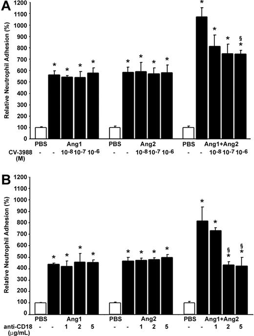 Figure 6. Contribution of PAF and β2 integrin on angiopoietin-induced neutrophil adhesion onto HUVECs. Neutrophils were pretreated with increasing concentrations of CV-3988 (10–8 to 10–6 M; A) and blocking anti-CD18 IgG (1 to 5 μg/mL; B) for 15 minutes prior to the adhesion assay. Neutrophils were added to HUVECs concomitantly to their stimulation with Ang1, Ang2 alone, or the Ang1/Ang2 combination (10–9 M; 7.5 minutes). Data are means ± SEM of at least 8 experiments; *P = .01 compared with PBS, §P = .01 compared with corresponding agonist.