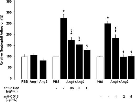 Figure 7. Combination of Ang1 and Ang2 promotes neutrophil adhesion on hECM: implication of Tie2 and β2 integrin. Neutrophils were pretreated with increasing concentrations of blocking anti-hTie2 IgG (0.05 to 1 μg/mL) or blocking anti-CD18 IgG (1 to 5 μg/mL) antibodies 15 minutes prior to the adhesion assay on hECM. Neutrophils were stimulated with either Ang1, Ang2, or the Ang1/Ang2 combination (10–9 M; 7.5 minutes). Data are means ± SEM of at least 8 experiments; *P = .01 compared with PBS, §P = .01 compared with corresponding agonist.