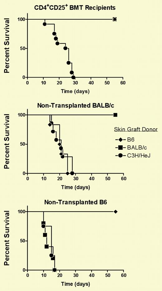 Recipients who received transplants of BM and CD4+CD25+ T cells acutely reject third-party skin grafts. See the complete figure in the article beginning on page 1828.