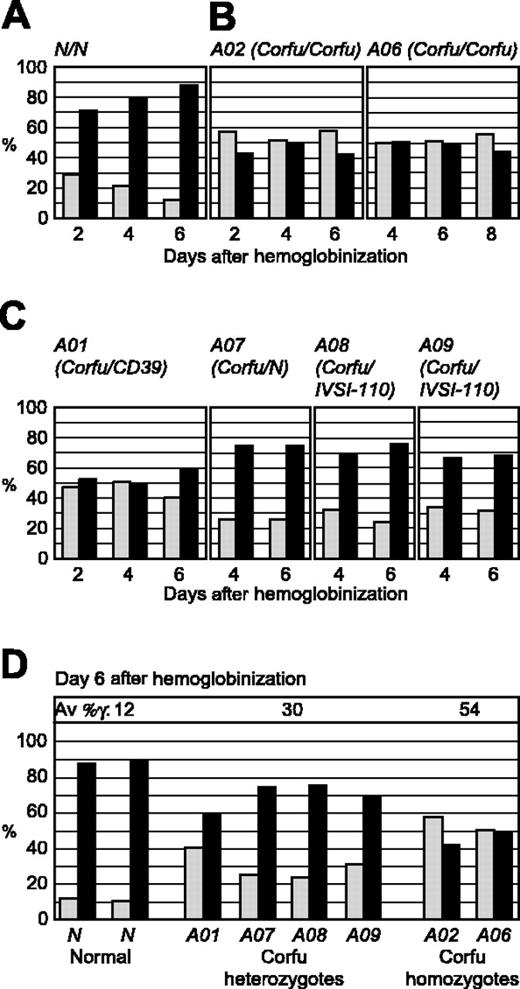 Figure 2. FISH analysis of γ and β gene transcription during erythroid differentiation in culture. Double-label RNA FISH was performed on cultured erythroid cells from healthy individuals and patients with Corfu deletion with gene-specific, intron probes for γ and β primary transcripts. Percentage of total γ and β gene signals are presented for 2, 4, and 6 days after hemoglobinization. ▦ indicates γ transcription; ▪, β transcription. (A) Healthy individual. Note, as cells mature, β transcription progressively increases while γ transcription is reciprocally silenced. (B) Corfu homozygotes A02 and A06. Note, γ versus β levels are stable over the culture period. (C) Corfu heterozygotes A01, A07, A08, A09. (D) γ Versus β transcription for all individuals assayed: 2 healthy subjects N; Corfu heterozygotes A01, A07, A08, A09; Corfu homozygotes A02 and A06, at day 6 after hemoglobinization when β transcription reaches 90% of total in normal cells. Average percentage of γ is indicated for each group of individuals as Av %γ, ie, 100% γ/(γ + β). Note, γ transcription increases with Corfu chromosome copy number.