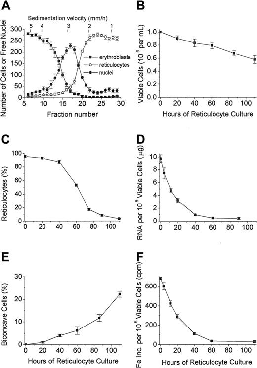 Figure 1. Separation and culture of reticulocytes derived in vitro from FVA erythroblasts. (A) Velocity sedimentation profiles of erythroblasts (▪), reticulocytes (○), and extruded nuclei (⬡) derived from the 44-hour cultures of murine proerythroblasts from FVA-infected mice. Fractions collected from the bottom of the gradient were 50 mL for fractions 1 to 9 and 25 mL for the remaining fractions. Fraction 6 represents pooled fractions 1 to 6, and fraction 29 represents pooled fractions 29 to 31. Corresponding sedimentation rates in mm/hour are shown along the top of the figure. Cytospin preparations were stained with 3,3′-dimethoxybenzidine and hematoxylin, and 300 cells were counted for each fraction. Data are ± SEM of 5 separate experiments. (B) Viable cells per mL in cultures initiated with 1 × 106 nascent reticulocytes per mL at 0 hour. Data are ± SEM of 4 separate experiments. (C) Percentage of cells scored as reticulocytes in cultures of nascent reticulocytes. Data are ± SEM of 5 separate experiments. (D) Total RNA per 1 × 108 cells in cultures of nascent reticulocytes. Data are ± SEM of 5 separate experiments. (E) Percentage of biconcave cells in cultures of nascent reticulocytes. Data are ± SEM of 4 separate experiments. (F) 59Fe-incorporation into heme (cpm) in cultures of nascent reticulocytes. Data are ± SEM of 3 separate experiments.