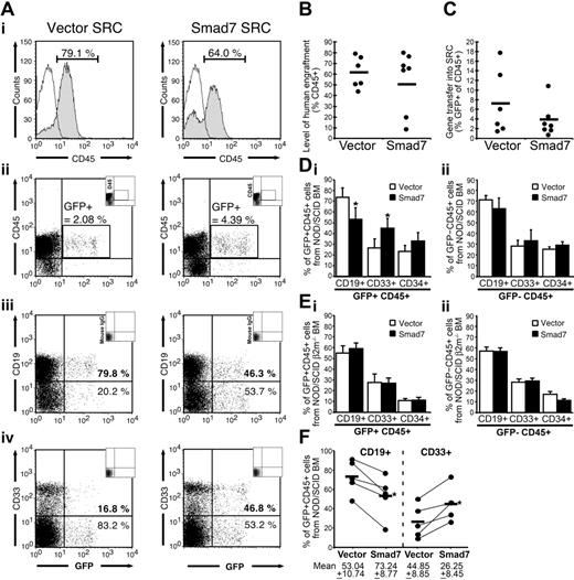 Figure 3. Smad7 alters the balance of lymphoid and myeloid cells following CB Lin– SRC reconstitution. (A) A representative example of human engraftment in NOD/SCID mice repopulated with vector- (left column) or Smad7-transduced SRCs (right column) from the same CB sample. (i) Level of human engraftment in the NOD/SCID bone marrow, detected by the human specific pan-leukocyte marker CD45. (ii) Human CD45+ cells expressing the vector or Smad7 transgene were gated according to co-expression of GFP. (Inset) Dotplot for a mouse engrafted with nontransduced Lin– cells, used to set quadrants for GFP+ human cells. (iii,iv) B-lymphoid and myeloid composition of the human hematopoietic graft in vector- and Smad7-transduced SRC (gated CD45+ in Figure 3Ai). Transduced B-lymphoid component expressed as percentage of CD19+ cells from total GFP+ cells (corresponding to GFP+ gate in Figure 3Aii). Transduced myeloid component expressed as percentage of CD33+ cells from total GFP+ cells. Nontransduced GFP– human cells are shown in the left quadrants for comparison. Quadrant settings were based on CD45+ isotype controls from a mouse given transplants of nontransduced (GFP–) CB Lin– cells (inset). (B) Summary of the level of engraftment of human hematopoietic cells (% CD45+ cells) in the bone marrow of transduced NOD/SCID mice, calculated from gates shown in panel Ai, from 5 independent CB samples (13 mice total). Horizontal lines indicate mean level of engraftment; dots represent individual mice. (C) Summary of level of gene marking in the human hematopoietic graft, determined as percentage of GFP+ cells from total CD45+ cells, calculated from gates shown in panel Aii. Horizontal lines indicate mean level of gene marking; dots indicate the level of marking in individual mice. (D) Summary of engraftment patterns from vector (□) and Smad7 CB-paired mice (▪), from 5 independent CB samples transplanted into NOD/SCID mice (13 mice: 6 vector, 7 Smad7). Shown is the B-lymphoid (CD19+), myeloid (CD33+), and primitive (CD34+) populations expressed as percentage of total human (CD45+) GFP+ cells (i), or human (CD45+) GFP– cells (ii) (± SEM). (E) Summary of engraftment patterns from vector (□) and Smad7 CB-paired mice (▪), from 4 independent CB samples transplanted into NOD/SCID/β2–/– mice (18 mice: 8 vector, 10 Smad7). (F) Paired analysis of CD19 and CD33 engraftment patterns for vector and Smad7 SRCs from each of 5 CB samples transplanted into NOD/SCID mice. Bar indicates the mean percentage of CD19+ or CD33+ cells of the total GFP+ cells. *P ≤ .01. Error bars indicate SEM.