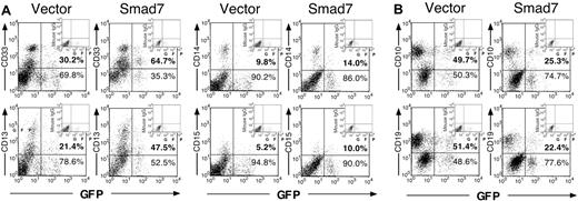 Figure 4. Multilineage lymphoid and myeloid analysis of Smad7- and vector-transduced SRCs. FACS analysis of lymphoid and myeloid commitment markers on CD45+ human hematopoietic cells transduced with vector or Smad7 retrovirus, engrafted in the BM of a representative pair of NOD/SCID mice. (A) Analysis of myeloid markers CD33, CD13, CD14, and CD15 on CD45+ gated cells. (B) Analysis of lymphoid markers CD10 and CD19 on CD45+ gated cells.