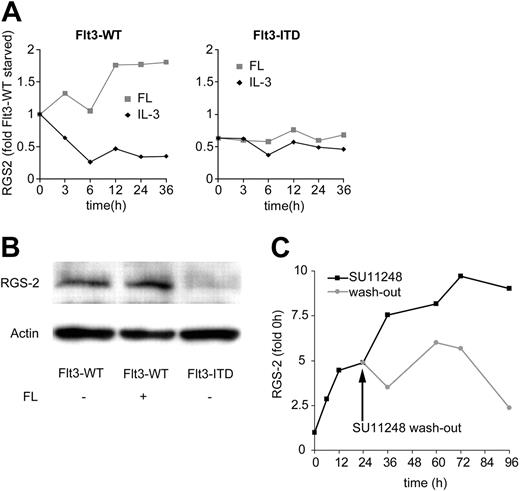 Figure 1. RGS2 is repressed by activating Flt3 mutations. (A) Analysis of RGS2 mRNA levels by real-time RT-PCR. The 32D cells stably transfected with either wild-type Flt3 (Flt3-WT) or Flt3-ITD were growth factor starved for 12 hours. Samples were taken for RNA preparation at the indicated time points after the addition of IL-3 () or FL (▦). (B) RGS2 protein levels. The 32D cells stably transfected with Flt3-WT or Flt3-ITD were cultured for 12 hours in the absence of IL-3 and in the absence or presence of FL as indicated. RGS2 protein levels were determined by Western blot. (C) Flt3-ITD–induced RGS2 repression can be antagonized by inhibition of Flt3 phosphorylation. The 32D/Flt3-ITD cells were cultured in the presence of 100 nM SU11248 (▪), an Flt3-ITD–specific tyrosine kinase inhibitor. After 24 hours, cells were washed, one half was cultured further in the absence () and the other half in the presence of SU11248. RGS2 mRNA levels were analyzed by real-time RT-PCR.