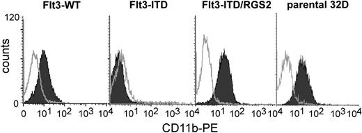 Figure 5. RGS2 reverses the Flt3-ITD–induced block of differentiation. Stable 32D/Flt3-WT, 32D/Flt3-ITD, or 32D/Flt3-ITD cells cotransfected with RGS2 and parental 32D cells were used for these experiments. Cells were grown for 12 days in the presence of G-CSF without IL-3. Granulocytic differentiation was determined by flow cytometric CD11b surface expression.