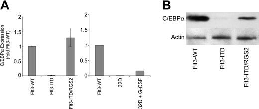 Figure 6. RGS2 induces c/EBPα expression in Flt3-ITD–transformed 32D cells. The 32D cells were stably transfected with Flt3-WT or Flt3-ITD or cotransfected with Flt3-ITD and RGS2. The cells were cultured for 12 hours in the absence of IL-3; Flt3-WT transfected cells were exposed to FL. Parental 32D cells were grown either in the presence of IL-3 or stimulated for 12 days with G-CSF as indicated. (A) c/EBPα mRNA expression was determined by real-time RT-PCR. The means and standard deviations of 3 independent experiments are shown. (B) c/EBPα protein expression was determined by Western blot analysis.