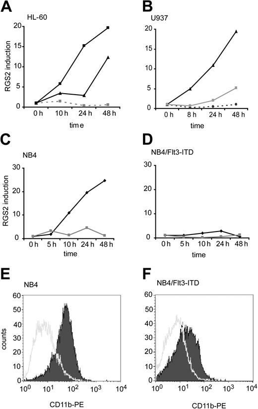 Figure 7. RGS2 expression during differentiation of myeloid cell lines. (A) HL-60 cells were cultured in the presence of DMSO (▴) for granulocytic differentiation, vitamin D3 (▦ and dotted line) for monocytic differentiation, or TPA (▪) for differentiation into macrophages. At the indicated time points, cells were removed for RNA isolation. RGS2 mRNA levels were determined by real-time RT-PCR. Monocytic differentiation was confirmed by flow cytometry for CD14, granulocytic differentiation by flow cytometry for CD11b. (B) U937 cells were treated with vitamin D3 (⬡ and dotted line) or TPA (▴) for differentiation into monocytes or macrophages, respectively, or with ATRA (▦) for granulocytic differentiation. Samples for the analysis of RGS2 mRNA levels were taken at the indicated time points. Differentiation was confirmed by flow cytometry. (C) NB4 cells were treated with ATRA () to induce granulocytic differentiation. Samples for RGS2 mRNA determination were taken at the indicated time points. ▦ indicates ethyl alcohol. (D) NB4 cells stably transfected with Flt3-ITD were treated with ATRA. Samples for RGS2 mRNA determination were taken at the indicated time points. Symbol meaning is the same as in panel C. (E-F) Flow cytometry for CD11b after 48 hours treatment with NB4 cells (E) or NB4-Flt3-ITD cells (F). Open histograms show ethanol-treated cells and filled histograms ATRA-treated cells.