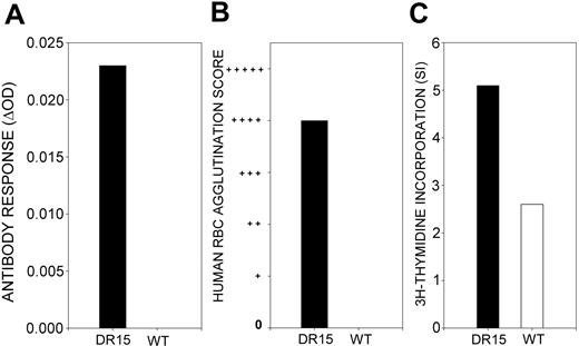 Figure 2. Responsiveness of wild-type mice to immunization with purified RhD protein. A representative example is shown (n = 4). In contrast to the DR15 transgenic mice, wild-type mice (WT) of the same background strain immunized with RhD protein do not produce anti-RhD antibodies detectable by IELAT (A) or IAT (B). Splenocytes isolated from RhD-immunized wild-type control mice proliferate weakly in vitro in response to stimulation with the RhD protein (□) compared with DR15 transgenic mice (▪) (C).