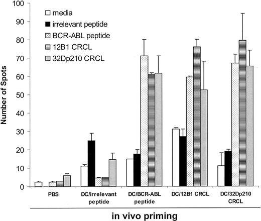 Figure 1. Immunization of mice with DCs loaded with bcr-abl+ leukemia-derived CRCL induces BCR-ABL–specific IFN-γ secretion. Mice were immunized with DCs (5 × 105) loaded with 12B1- or 32Dp210-derived CRCL, or with a BCR-ABL peptide, GFKQSSKAL, or with an irrelevant peptide, HYLSTQSALSK, on days –14 and –7. Control mice were immunized with equal volumes of PBS or equal numbers of empty DCs. On day 0, splenocytes were collected and restimulated with indicated peptide or CRCL for 48 hours. IFN-γ production was determined by ELISPOT assay. Error bars represent SEM.