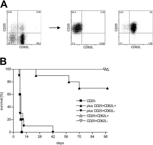 Figure 1. Only the CD62L+ subset of CD4+CD25+ Treg cells protects from lethal aGVHD in vivo. (A) CD4+ splenocytes from C57BL/6 donors were sorted into CD4+CD25- (not shown), CD4+CD25+CD62L+, and CD4+CD25+CD62L- subpopulations. (B) Lethally irradiated BALB/c recipients received 2 × 106 TCD BM cells from C57BL/6 mice for reconstitution plus 500 000 C57BL/6-derived CD4+CD25- T cells either alone (▪; n = 10) or together with 500 000 CD4+CD25+CD62L+ (▴; n = 10) or CD4+CD25+CD62L- (▾; n = 10) Treg cells. Additional groups were injected with TCD BM and 500 000 CD4+CD25+CD62L+ (▵; n = 5) or CD4+CD25+CD62L- (▵; n = 3) Treg cells only. Data were pooled from 2 independent experiments.