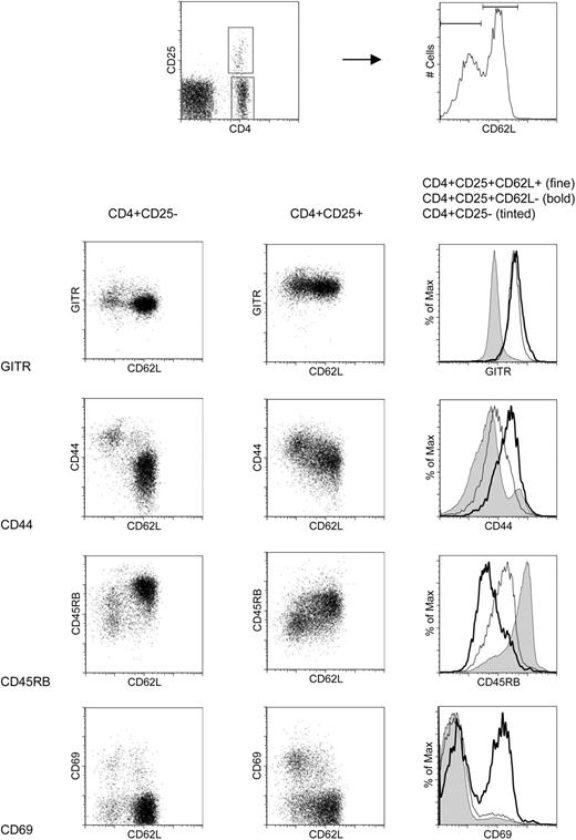 Figure 2. CD4+CD25+CD62L+ and CD4+CD25+CD62L- T cells express comparable levels of GITR on their surface but differ in the expression of other markers. C57BL/6 splenocytes were stained with anti-CD4 Cy7APC, anti-CD25 APC, anti-CD62L FITC, and PE-labeled antibody against the marker of interest and analyzed by flow cytometry. Two-dimensional dot plots of CD62L versus GITR, CD44, CD45RB, or CD69 are shown for CD4+CD25- T cells in the left and CD4+CD25+ T cells in the middle column. The histograms in the right column are overlays of the respective markers for CD4+CD25- T cells (shaded), CD4+CD25+CD62L- (bold), and CD4+CD25+CD62L+ Treg cells (fine). The gates for CD4+CD25- and CD4+CD25+ cells as well as the CD62L+ and CD62L- subsets are shown in the two top FACS plots.