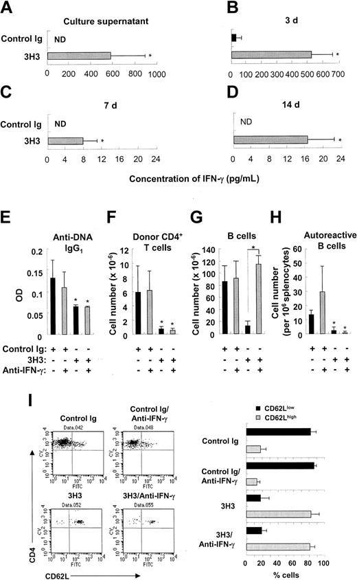 Figure 6. Effects of IFN-γ neutralization on autoantibody production and deletion of donor CD4+ T cells and B cells. (A-D) cGVHD was induced by transferring 8 × 107 DBA/2 parental cells into BDF1 mice, and 3H3 or control Ig was administered immediately afterward. (A) Three days later, splenocytes were harvested and stimulated with PMA/ionomycin. Twenty-four hours thereafter, the concentration of IFN-γ in culture supernatants was measured. (B-D) Serum was harvested from cGVHD mice at days 3 (B), 7 (C), and 14 (D) after disease induction. Serum IFN-γ levels were measured by ELISA. ND indicates not detectable. Data are presented as means ± SD of n = 3-4 per group. *P < .05 between the 2 groups. (E-I) Starting from day 2, 500 μg anti–IFN-γ mAb was administered to cGVHD mice every 4 days. On day 14, serum and splenocytes were harvested from the cGVHD mice. (E) OD values for anti-DNA IgG1 levels are shown as means ± SD at 10-fold dilution of samples. (F-G) Donor CD4+ T-cell and B-cell numbers were counted by staining splenocytes with anti–H-2Kb plus anti-CD4 (F) or anti-B220 (G), respectively. (H) Autoreactive B cells producing anti-DNA IgG1 were counted using ELISPOT. (I) Splenocytes were triple-stained with anti–H-2Kb, anti-CD4, and anti-CD62L, and H-2Kb–negative CD4+ T cells were gated and analyzed for CD62L expression. Representative FACS plots are shown in the left column, and percentages of CD62Llow versus CD62Lhigh donor CD4+ T cells are summarized in the right column. Data are presented as means ± SD of n = 3-5 per group. *P < .05 between the control Ig–treated group without neutralization and the indicated group (E, F, H), or between the indicated groups (G).
