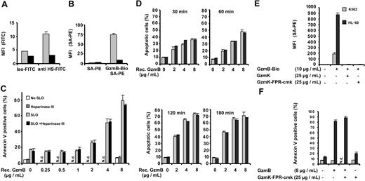 Figure 5. Influence of surface heparan sulfate on GzmB binding and apoptosis induction. (A-C) K562 cells were treated with heparinase III and analyzed for cell surface HS, GzmB-Bio binding, and susceptibility to apoptosis induction. (A) Binding of anti–HS-FITC is reduced to background levels after heparinase III treatment. Buffer-treated (▦) or heparinase-treated (▪) cells were stained in triplicate with the FITC-labeled anti-HS monoclonal antibody (anti HS-FITC) or with an FITC-labeled IgM (immunoglobulin M)–isotype control antibody (Iso-FITC). (B) Heparinase III treatment drastically reduces GzmB binding to K562 cells. Bar shading indicates same treatments as in panel A. (C) In vitro apoptosis induction is not impaired by heparinase III treatment. K562 cells, treated as described for panel A, were subjected to GzmB-SLO–induced apoptosis. The cells were treated as indicated either with buffer or with heparinase III and thereafter were incubated with the indicated concentrations of recombinant GzmB without SLO or with sublytic concentrations of SLO. After 5-hour treatment, apoptosis was determined by FACS after staining with annexin V–FITC and PI. Shown is the mean ± SD of triplicates of the percentage of annexin V–positive cells encompassing early apoptotic cells (PI-negative) and late-stage apoptotic cells (PI-positive). (D) K562 cells were treated as described in panel C, but cells were analyzed after consecutive time points. Shown is the percentage of apoptotic cells (annexin V–positive and PI-negative). Similarly when necrotic cells were included, no significant differences between buffer and heparinase-treated cells were observed (data not shown). ▦ indicates SLO alone; ▪, SLO with heparinase. (E) Inhibition of GzmB-Bio binding to K562 (▦) or HL-60 (▪) cells by enzymatically inactive GzmK (GzmK-FPR-cmk). Active GzmK and chemical irreversibly inactivated GzmK-FPR-cmk (both 25 μg/mL) totally abolished GzmB-Bio (10 μg/mL) binding. (F) Apoptosis induced by GzmB delivered by SLO is not inhibited when GzmB-binding is blocked. The experiment was performed as described for panel C, with K562 cells preincubated with GzmK-FPR-cmk. ▪ indicates presence, ▦ absence of SLO. N.d. indicates not determined.