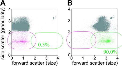 Figure 5. CD41–CD61–, PI– events in the anti-CD41 mAb–treated mice label with vital dye fluorescein diacetate. Blood cells were analyzed by flow cytometry for their expression of CD41 and CD61 (platelet) and then were fluorescence-labeled with the vital dye fluorescein diacetate. (A) Blood cell labeling prior to addition of fluorescein diacetate. (B) Blood cell labeling after 10 minutes of incubation with fluorescein diacetate. The CD41–CD61–, PI– cells are magenta and those cells labeling with fluorescein diacetate are green. The gray events comprise all cells that are not CD41–CD61–,PI– cells. The inset % is the percentage of CD41–CD61–,PI– cells that are labeled with fluorescein diacetate.