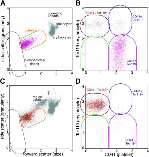 Figure 6. CD41– cells are of erythrocyte origin. Blood cells were analyzed by flow cytometry for their expression of CD41 (platelet) and Ter119 (erythrocyte) in uninfected mice (A, B) and in mice on day 6 of P berghei infection (C, D). The platelet set was defined by its forward scatter and side scatter (orange region in A, C) and microparticles and cell debris were excluded from the analysis (black set). The platelet subsets were color-coded in B and D based on their expression of CD41 and Ter119: the CD41+Ter119– platelet subset is purple, the CD41–Ter119+ subset is red, the CD41–Ter119– is green, and the CD41Ter199+ subset is blue. Note the colors identify the same platelet subsets in A and C. There were few orange events because virtually all cells within the platelet set were defined within the subsets.