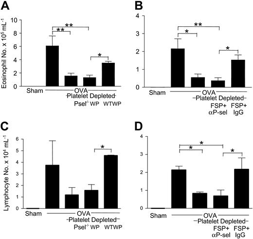 Figure 2. Platelet P-selectin is required for pulmonary eosinophil and lymphocyte recruitment in allergen-sensitized mice previously depleted of platelets. Sham- and OVA-sensitized mice were exposed to allergen, and BAL fluid was obtained 24 hours after the third day of challenge and analyzed for eosinophil and lymphocyte numbers. In some groups, mice were rendered thrombocytopenic with the administration of busulfan. Selected groups of thrombocytopenic mice were administered (A,C) washed platelets from P-selectin–deficient (P-sel-/-WP) or normal mice (WTWP) or (B,D) stimulated platelets coincubated with a P-selectin blocking antibody (FSP + αP-sel) or control IgG (FSP + IgG). n = 3-4 animals per group. Data are expressed as mean ± SEM. *P < .05; **P < .01.