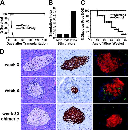 Figure 3. Donor-specific tolerance and reversal of insulitis in chimeric NOD recipients. (A) Chimeric NOD mice accepted donor (⬡) but rejected third-party skin grafts (—). (B) Mixed lymphocyte reaction of lymph node cell responders from chimeric recipients at 32 weeks of age against host NOD, donor FVB/N, and third-party B10A spleen cell stimulators. One representative of 3 replicate experiments is shown. (C) Chimeric NOD recipients (; n = 12) were resistant to diabetes development compared with control NOD mice without BMT (⬡; n = 26). (D) Histology of pancreata of 3-week-old NOD mice (top row), 8-week-old NOD mice before anti-CD3 treatment (middle row), and 32-week-old chimeric recipients (bottom row). The tissues from each recipient are shown in HE staining (left column), insulin staining (middle column), and 2-color staining of insulin (red), anti-CD3 mAb (green; right column). Severe lymphocyte infiltration is seen within islets of 8-week-old NOD mice, but no infiltration was observed in 3-week-old or 32-week-old chimeric recipients. One representative of 6 mice examined in each group is shown.