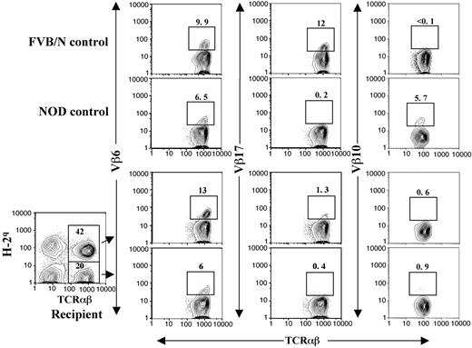 Figure 4. Clonal deletion of donor- and host-reactive T cells in chimeric NOD recipients. Peripheral blood mononuclear cells (PBMNCs) from control FVB/N and NOD mice were stained with anti-TCRαβ versus anti-Vβ6, Vβ17, or Vβ10. The PBMNCs from long-term (> 24 weeks after BMT) chimeric recipients were stained with anti–H-2q, TCRαβ plus anti-Vβ6, Vβ17, or Vβ10. Donor-type (H-2q+) and host-type (H-2q-) TCRαβ+ cells were gated and then shown in TCRαβ versus Vβ6, Vβ17, or Vβ10. The percentage of H-2q+ and H-2q- TCRαβ+ cells among PBMNCs was shown in the gating boxes. The percentage of Vβ6+, Vβ17+, and Vβ10+ T-cell subsets among total T cells were shown above the gating boxes. One representative of 4 measured recipients is shown.