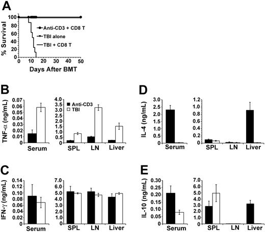 Figure 5. Comparison of cytokine secretion profile of anti-CD3– or TBI-conditioned recipients. (A) Survival of recipients conditioned with anti-CD3 (⬡) or TBI (—) after injection of donor TCD-BM (2 × 106) and CD8+ T cells (20 × 106). ▾ indicates recipients of TBI alone. There were 8 mice in each group. (B-E) TNF-α, IFN-γ, IL-4, and IL-10 in serum and culture supernatant (anti-CD3, ▪; TBI, □) of recipients from the 2 groups. Values are the mean ± SE of individual recipients in each group (n = 8). SPL indicates spleen.