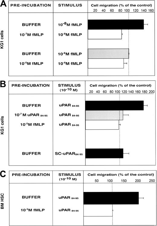 Figure 5. FMLP and uPAR84-95 induce CD34+ KG1 and HSC migration by FPR activation. (A) KG1 cells, preincubated with buffer, 10-7 M fMLP, or 10-5 M fMLP, were plated in Boyden chambers and allowed to migrate toward 10-8 M fMLP or 10-6 M fMLP. (B) KG1 cells, preincubated with buffer, 10-7 M uPAR84-95, or 10-5 M fMLP, were plated in Boyden chambers and allowed to migrate toward 10-10 M uPAR84-95. Control migration toward 10-10 M scrambled uPAR84-95 (SC-uPAR84-95) was added. (C) Bone marrow CD34+ hematopoietic stem cells (BM HSC), preincubated with buffer or 10-5 M fMLP, were plated in Boyden chambers and allowed to migrate toward 10-10 M uPAR84-95. 100% values represent cell migration in the absence of chemoattractants. Values are the mean ± SD of 3 experiments performed in triplicate.