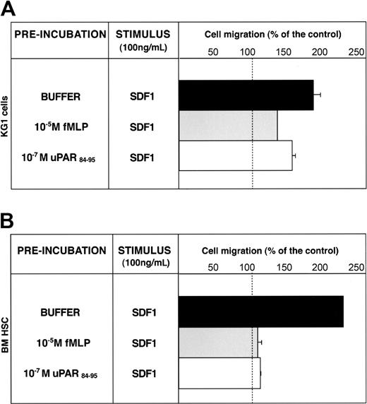 Figure 6. uPAR84-95 inhibits SDF-1–dependent migration of CD34+ KG1 and HSCs. KG1 cells (A) and bone marrow CD34+ hematopoietic stem cells (BM HSCs) (B), preincubated with buffer (▪), 10-5 M fMLP (▦), or 10-7 M uPAR84-95 (□), were plated in Boyden chambers and allowed to migrate toward 100 ng/mL SDF1. 100% values represent cell migration in the absence of chemoattractants. Values are the mean ± SD of 3 experiments performed in triplicate. Error bars are not shown when graphically too small.
