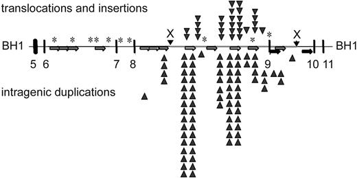 Figure 4. Summary of etoposide-induced breakpoints within the MLL bcr. Localization of repetitive elements in 8.3-kb MLL bcr, and distribution of breakpoints associated with translocations and insertions (above the line) or intragenic duplications (below the line). Alu elements in same orientation (light gray arrows; 799-1109, 1119-1420, 1423-1716, 1927-2215, 3973-4268, 4765-5094, 6072-6372, 7163-7427), LINE elements (black arrows; 3490-3589, 3691-3972, 4269-4612, 5610-5998), low copy MER repeat (dark gray arrows; 6959-7162, 7428-7558). *Sequence homology to a putative topo II recognition sequence (according to Gu et al22).