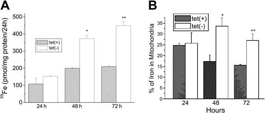 Figure 4. Increase of total uptake of 59Fe and localization of 59Fe into mitochondria by MtFt overexpression. (A) Total iron uptake. Clone B cells (30% confluence), grown for 24, 48, or 72 hours without (□) or with tetracycline (), were incubated for 24 hours with 1 μM 59Fe-Tf and washed 3 times in PBS, and their radioactivity was measured. (B) Distribution of iron between cytosol and mitochondria. The cells treated as described in panel A were homogenized in lysis buffer (sucrose 0.25 M, 10 mM HEPES, pH 7.4, 0.15% bovine serum albumin). The cytosolic and mitochondrial fractions were prepared by differential centrifugation and their radioactivities were measured. The amount of iron in mitochondria is expressed as a percentage of total 59Fe taken up. *P < .01 compared with 48-hour tet-on cells; **P < .01 compared with 72 hour tet-on cells. Data shown are the means ± SD of triplicate determinations from a typical experiment that was performed 3 times.