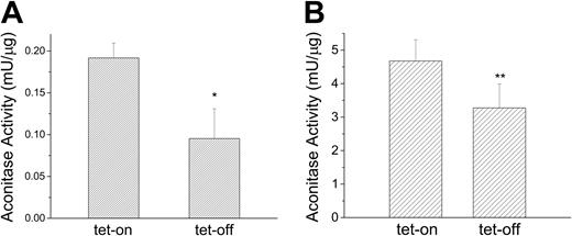Figure 6. MtFt overexpression reduces both cytosolic and mitochondrial aconitase activities. Clone B9 cells (30% confluence), grown for 72 hours without or with tetracycline, were harvested and homogenized in lysis buffer (sucrose 0.25 M, 10 mM HEPES, pH 7.4, 0.15% bovine serum albumin). Cytosolic (A) and mitochondrial (B) fractions separated by differential centrifugation and assayed for aconitase activity. t test *P < .01 compared with tet-on cells; **P < .05 compared with tet-on cells. Data shown are the means ± SD of triplicate determinations from a typical experiment that was performed 3 times.