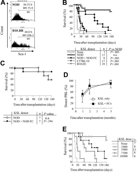 Figure 1. NOD HSCs have lower cell-surface expression of Sca-1 and exhibit autonomy in vivo. (A) Bone marrow cells from NOD and B10.BR mice were harvested and stained for KSL cells. Marker 1 (M1) indicates all Sca-1 positive-staining cells. MFI of the Sca-1 staining in the c-Kit+/Lin- population is indicated. Results are from one purification sort and are representative of at least 20 individual sorts per strain. (B) Engraftment B10.BR recipients conditioned with 950 cGy TBI and given 10 000 KSL cells from KSL (□), C57BL/10 (⬡), or B10.D2 (○) mice. B10.BR mice receiving no KSL cells were used as irradiation controls (dotted line). Survival B10.BR recipients of 10 000 NOD KSL cells and 30 000 NOD FCs are also shown (▪). (C) Survival of C57BL/10 recipients given NOD KSL cells alone (□) or in the presence of NOD FCs (▪). (D) Kinetics of percent donor chimerism in the peripheral blood lymphocytes (PBLs) in B10.BR recipients of NOD KSL cells alone (□) or in the presence of NOD FCs (▪). (E) B10.BR recipients were given decreasing numbers of NOD HSCs (dotted line indicates none; ○, 2000 cells; ▵, 5000; , 7500; and □, 10 000) after 950 cGy TBI. Survival of the recipients is shown based on time after transplantation. P values versus 10 000 HSCs are less than .05 and all P values versus 0 HSCs are less than .05. n.a. indicates not applicable.