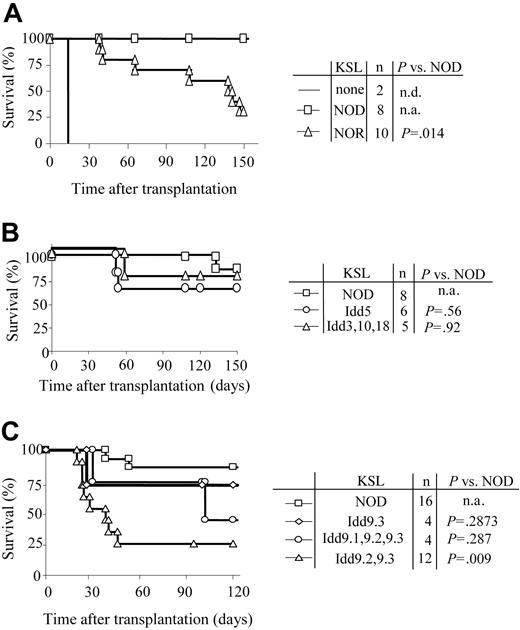 Figure 7. Autonomy of NOD HSCs maps to Idd9 locus. Purified KSL cells were administered to allogeneic recipients and long-term survival was evaluated. (A) Survival of C3H recipients exposed to 950 cGy TBI and given 10 000 KSL cells from NOD (□) or NOR (▵) mice. Conditioned controls receiving no KSL cells are also shown (solid line). (B) Survival curves of C3H recipients given 10 000 KSL cells from NOD mice (□), NOD B10.Idd5 congenic mice (○), or NOD B10.Idd3, 10, and 18 congenic mice (▵). (C) Survival curves of B10.BR recipients given 10 000 KSL cells from NOD mice (□), NOD B10.Idd9.3 congenic mice (⋄), NOD Idd9.1, 9.2, and 9.3 congenic mice (○), or NOD Idd9.2, 9.3 congenic mice (▵). Results shown for each donor type combine the survival data from 2 to 5 separate transplant experiments. Survival of the different transplant recipient groups was compared via Kaplan-Meier survival curves using the SPSS 12.0 for Windows statistical software package. Log-rank comparisons were performed and the P values for each comparison are shown. n.d. indicates not determined; n.a., not applicable.