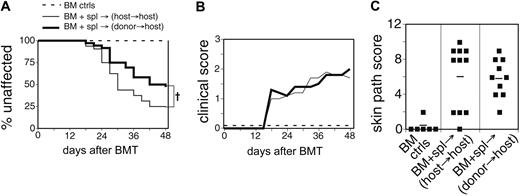 Figure 2. Donor-type APCs are sufficient for induction of cGVHD. Combined data from 2 experiments are shown. On day 0, chimeric recipient mice (previously prepared) were lethally irradiated and reconstituted with 8 × 106 WT BM cells alone (broken line; n = 21); or WT BM plus 107 WT spleen cells (host → host) (thin solid line; n = 32); (donor → host) (bold solid line; n = 36). Data for all BM control recipients were combined. (A) Incidence of cGVHD. †P < .01 for donor → host recipients versus host → host recipients of spleen cells. (B) Average clinical disease score for mice affected with cGVHD (unaffected mice are excluded). BM control mice did not get cGVHD and are represented on the graph as scoring “0.” (C) Pathology scores for representative mice. Mean score is indicated by a horizontal bar.