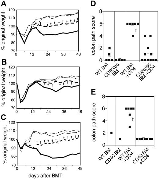 Figure 4. Gut GVHD is influenced by donor APCs. (A) Percentage of weight change in WT recipients of CD80/86-/- BM. Combined data from 2 experiments are shown. On day 0, WT recipient mice were lethally irradiated and reconstituted with 8 × 106 WT BM cells alone (thin solid line; n = 7), WT BM plus 2 × 106 WT CD4 cells (bold solid line; n = 17), 8 × 106 CD80/86-/- BM cells alone (thin broken line; n = 6), or CD80/86-/- BM plus 2 × 106 WT CD4 cells (bold broken line; n = 19). *P < .05 or †P < .01 for CD4 recipients of WT BM versus CD80/86-/- BM. (B) Percentage of weight change in WT recipients of CD40-/- BM. Combined data from 2 experiments are shown. On day 0, WT recipient mice were lethally irradiated and reconstituted with 8 × 106 WT BM cells alone (thin solid line; n = 8), WT BM plus 107 WT spleen cells (bold solid line; n = 27), 8 × 106 CD40-/- BM cells alone (thin broken line; n = 10), or CD40-/- BM plus 107 WT spleen cells (bold broken line; n = 28). †P < .01 for spleen cell recipients of WT BM versus CD40-/- BM. (C) Percentage of weight change in CD80/86-/- recipients of CD40-/- BM. On day 0, CD80/86-/- recipient mice were lethally irradiated and reconstituted with 8 × 106 WT BM cells alone (thin solid line; n = 5), WT BM plus 2 × 106 WT CD4 cells (bold solid line; n = 16), 8 × 106 CD40-/- BM cells alone (thin broken line; n = 4), or CD40-/- BM plus 2 × 106 WT CD4 cells (bold broken line; n = 17). †P < .01 for CD4 recipients of WT BM versus CD40-/- BM. (D) Pathology score for representative mice from panel A. Mean score is indicated by a horizontal bar. †P < .01 for WT BM + CD4 cell recipients versus all other experimental groups. P = .19 or .73 for CD80/86-/- BM + CD4 cells versus CD80/86-/- BM control or WT BM control, respectively. (E) Pathology scores for representative mice from panel C. Mean score is indicated by a horizontal bar. †P < .01 for WT BM + CD4 cell recipients versus CD40-/- BM + CD4 cell recipients.