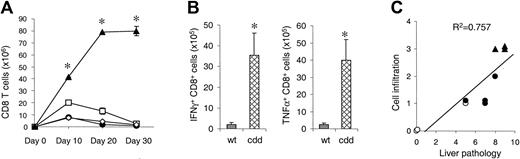 Figure 3. Deficiency of both perforin and FasL in donor CD8+ T cells cause prolonged expansion after BMT. (A) Mice underwent transplantation as in Figure 1. Splenocytes were harvested 10, 20, and 30 days (n = 3 mice/group) after BMT and analyzed by fluorescence-activated cell sorter (FACS). wt B6 → bm1 (•), pfp–/–→ bm1 (□), gld → bm1 (⋄), and cdd → bm1 (▴). wt B6 → bm1 versus cdd → bm1, *P < .05 by Mann-Whitney U test. (B) TNF α and IFN γ production by donor CD8+ T cells was determined by intracytoplasmic staining. *P < .05 by Mann-Whitney U test. (C) Overall pathologic damage of liver specimens correlated to the intensity of cell infiltration in portal triads, bile ducts/ductules, vascular, and hepatocellular areas. P < .01 by linear regression analysis. Symbols are same as in 3A. Error bars indicate mean ± SD.