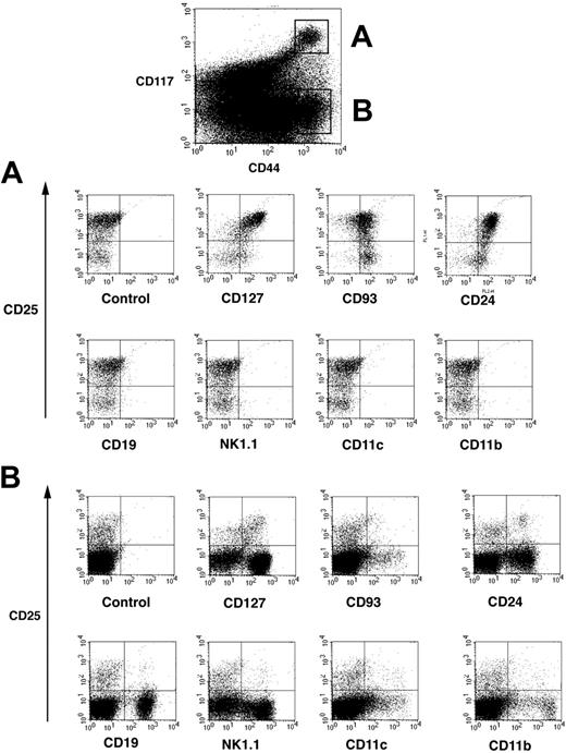 Figure 1. Four-color analysis of DN thymocytes by flow cytometry. Isolated DN thymocytes were 4-color stained for CD117-APC, and CD44-cychrome, CD25-FITC, and additional markers revealed by streptavidin-PE. CD44+ cells were separated into CD117 highly positive cells and CD117– cells and these populations defined as populations A and B. (A) Representative flow cytometric profile of cells from population A that were further analyzed according their expression of CD25 and lineage-specific as well as hematopoietic development common surface markers. (B) Representative flow cytometric profile of cells from population B.